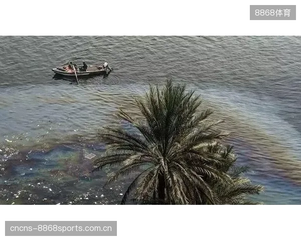 南非队的进攻并非仅依赖反击，其阵地战中通过肋部渗透的能力同样不容小觑。